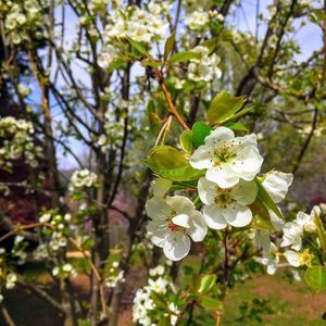 Meet your Posher, Jose